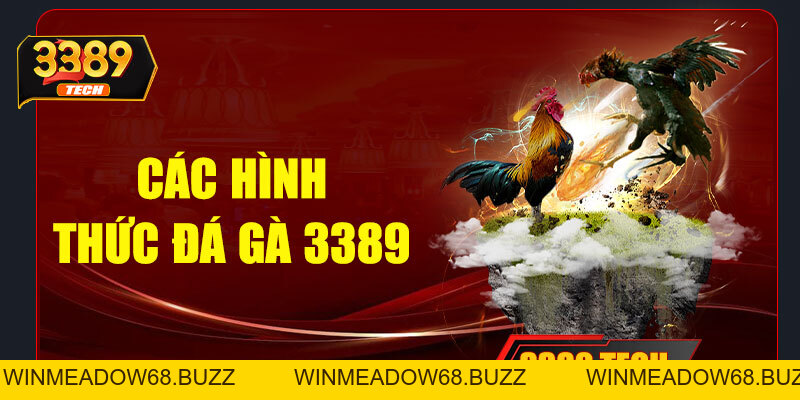 Đá gà 3389 – Trải nghiệm cá cược đỉnh cao với đòn đá mãn nhãn