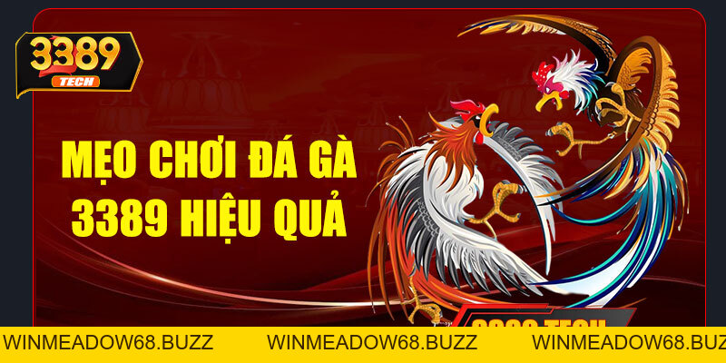 Đá gà 3389 – Trải nghiệm cá cược đỉnh cao với đòn đá mãn nhãn