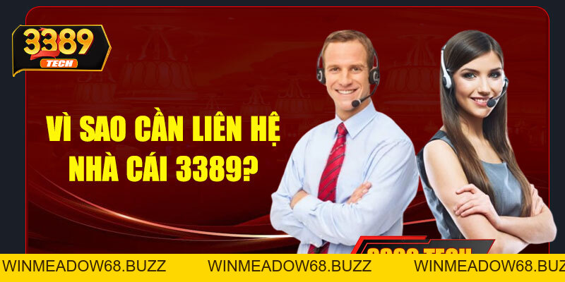 Liên hệ 3389 – Hỗ trợ nhanh chóng, tận tâm 24/7 cho mọi người chơi