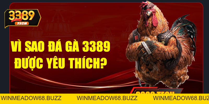 Đá gà 3389 – Trải nghiệm cá cược đỉnh cao với đòn đá mãn nhãn